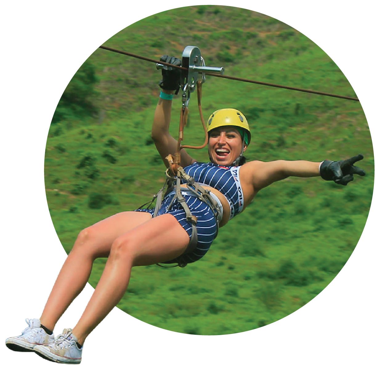 Wild Treks Tours en Puerto Vallarta Jalisco Mexico